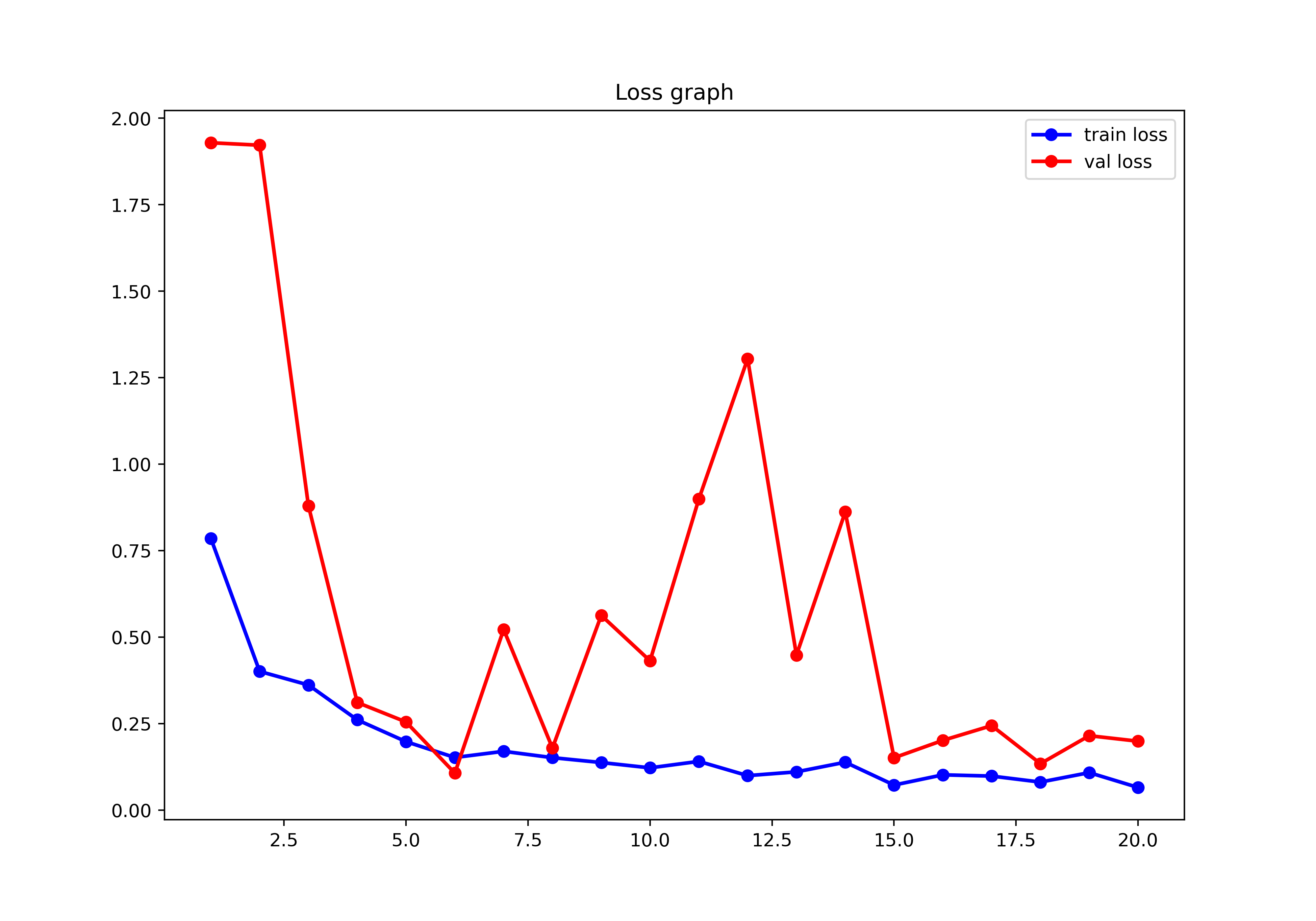 EfficientNet loss graph